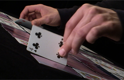 a video shot and edited by Graham Collins for the BC Civil Liberties Association