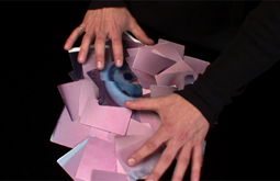 a video shot and edited by Graham Collins for the BC Civil Liberties Association