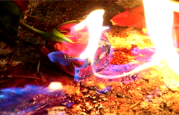a music video shot and edited by Graham Collins for the song Eden written and performed by BronweN