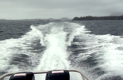composited and edited by Graham Collins